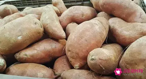 为什么吃红薯可以减肥